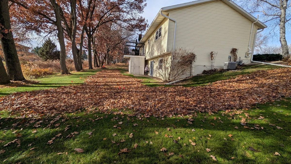 Other Lawn Services for TCB Lawn Care & Snow Removal in Sun Prairie, WI