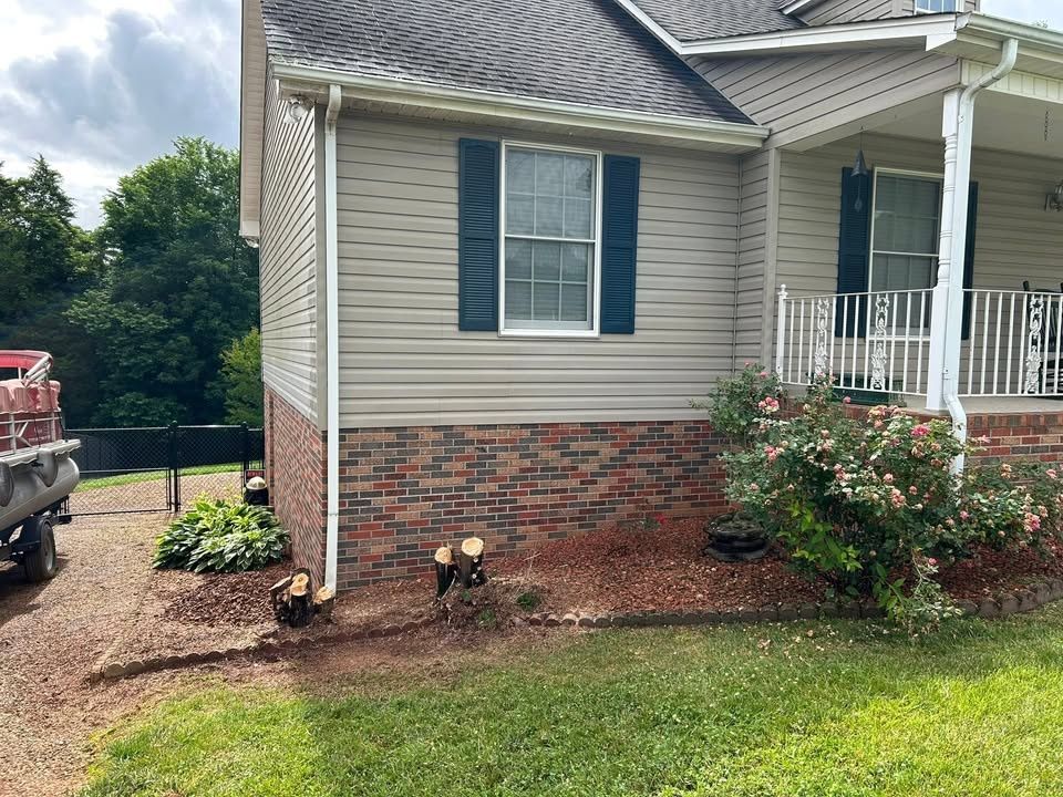 Stump Removal for Gatrell Landscape & Tree Removal in Bluff City, TN
