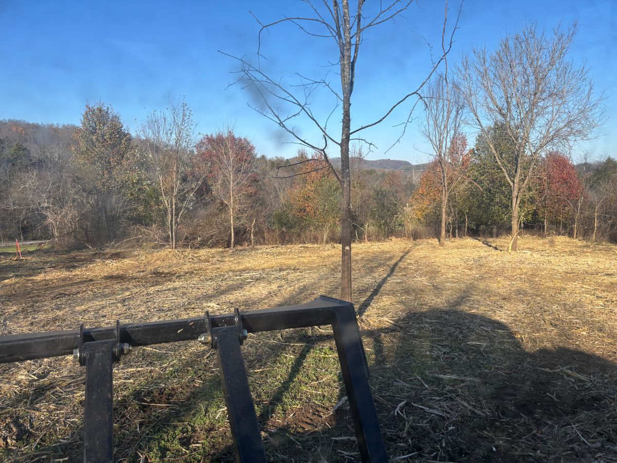 Land Clearing for Gregory Grass and Lawn in Lafayette, TN
