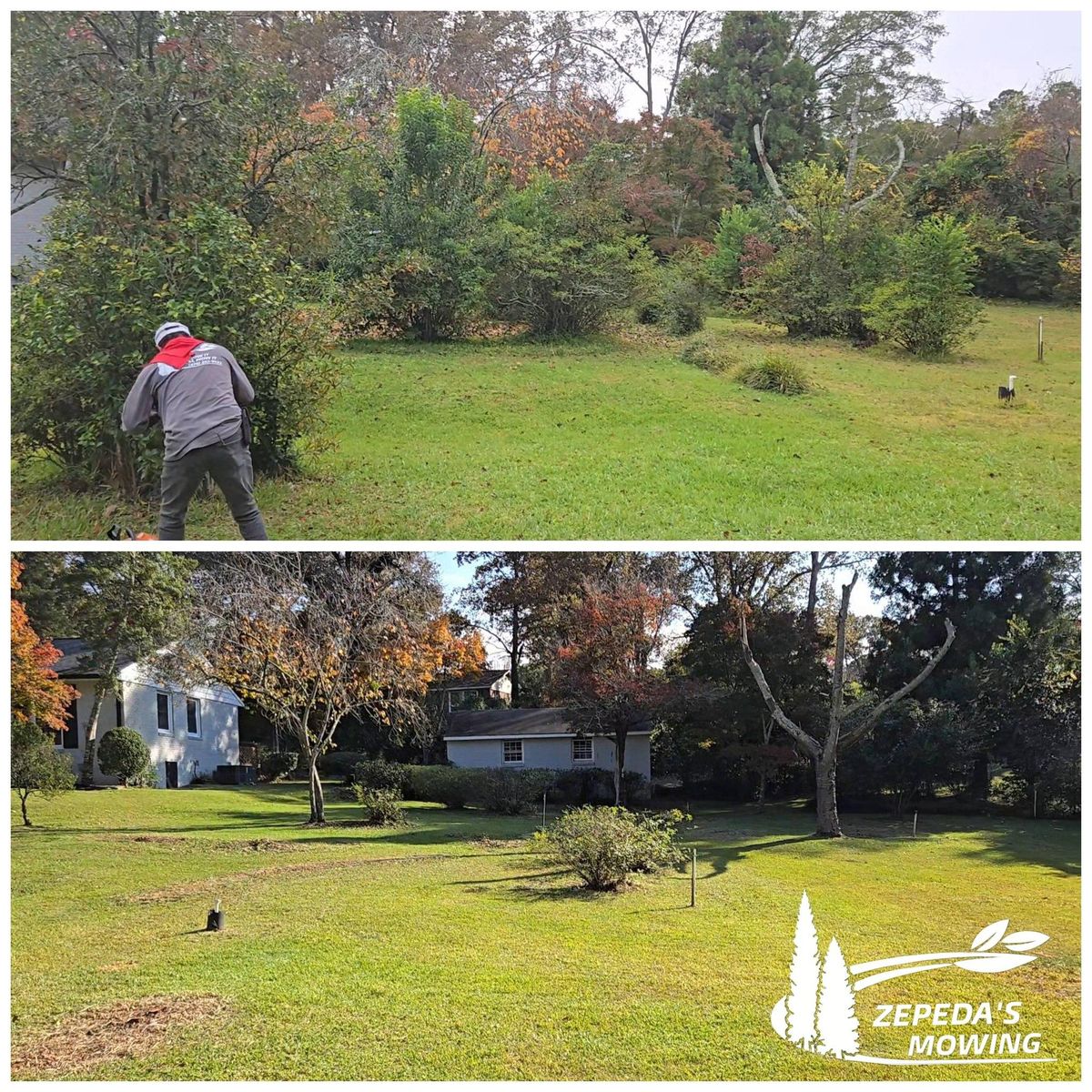 Shrub Trimming for Zepeda's Mowing in Fort Valley, GA