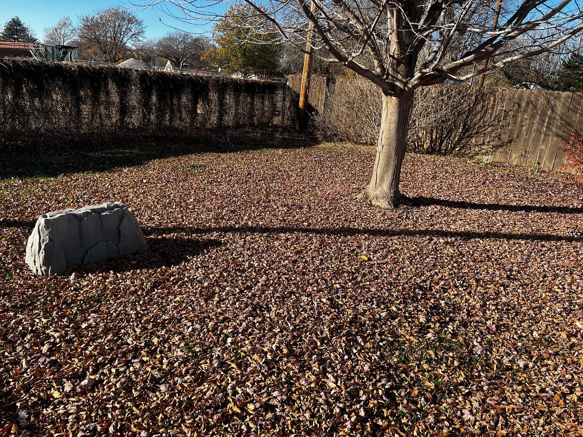 Fall Clean Up for Macy Mowing LLC in Wichita, KS