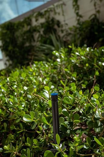 Irrigation for Arazoza Brothers Corporation in Miami, FL