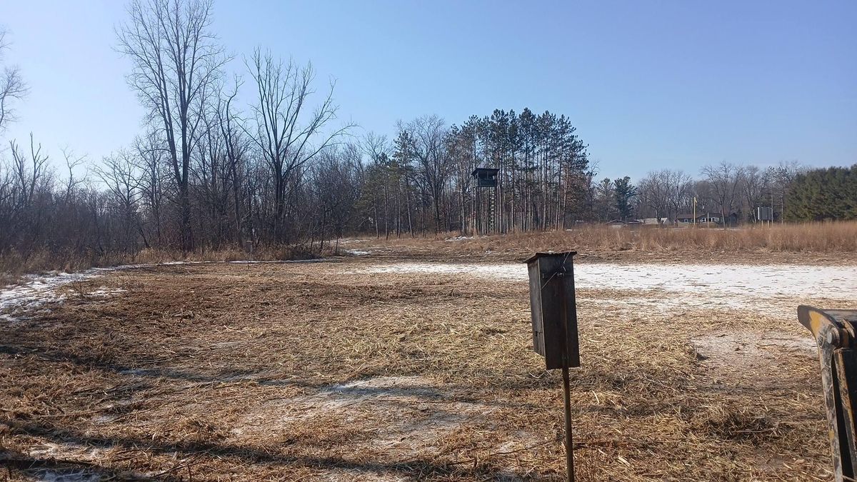 Land Clearing for Willing Trucking & Excavating in Evansville, WI