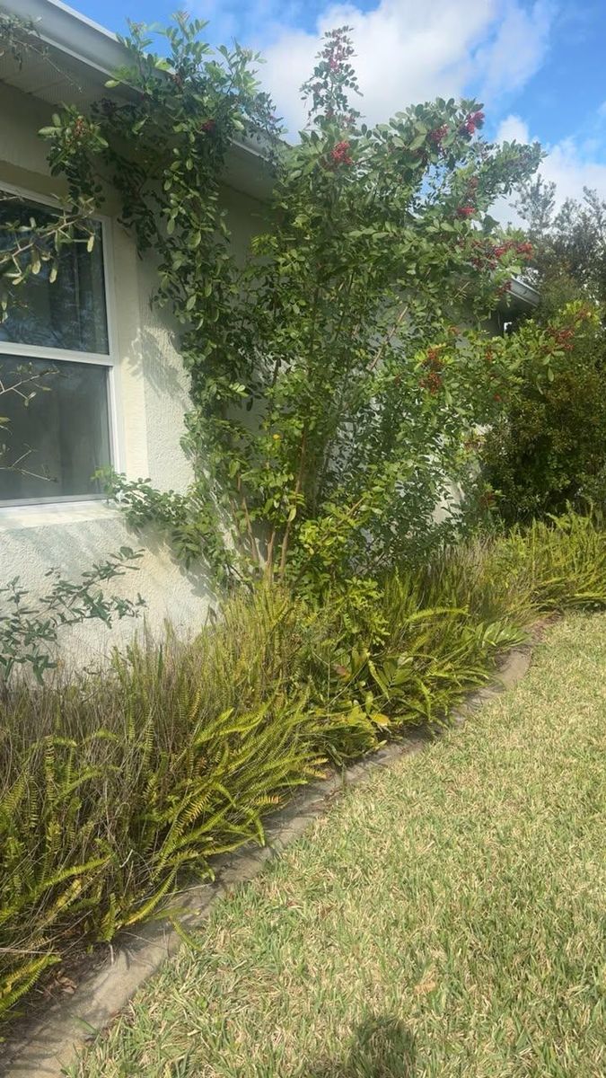 Lawn Maintenance for Space Coast Property Maintenance and Management LLC in Brevard County, FL