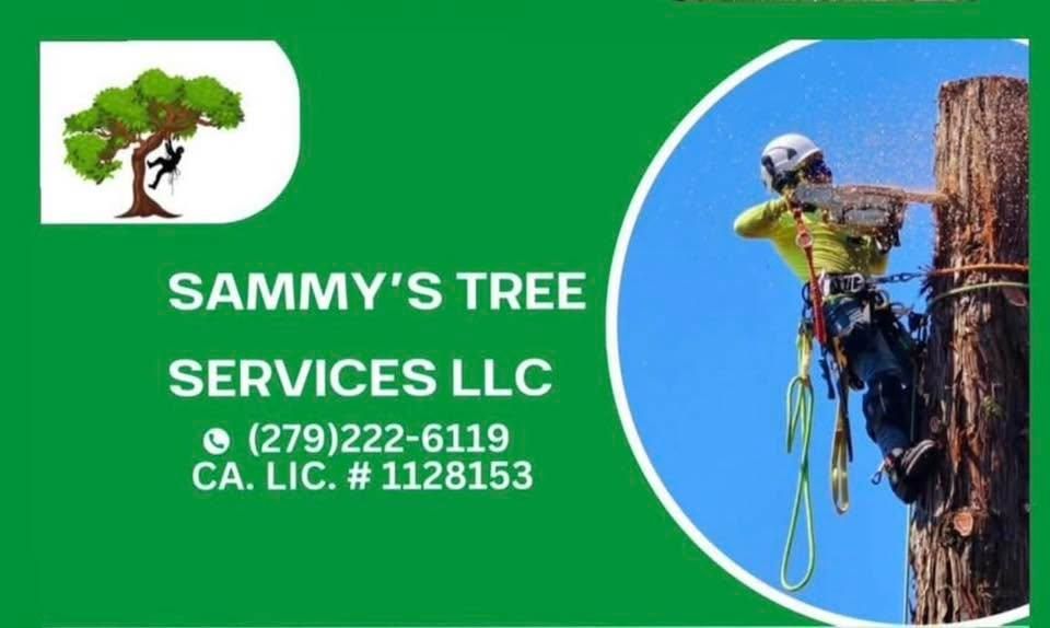 Tree Trimming for Sammy's Tree Services in Sacramento, CA