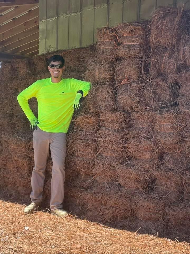 Pine Straw Installation for Green Works Landscaping in Clayton, NC