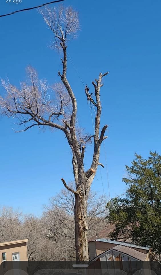 Tree Trimming for SMH Tree Service in Atwood, KS