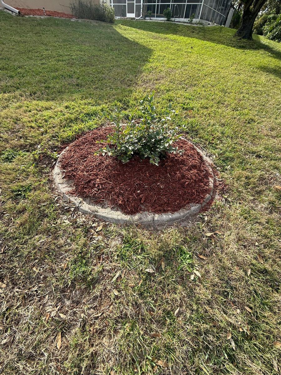 Mulch Installation for Kramer & Son’s Property Maintenance in Hudson, FL