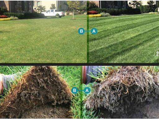 Sod Install for One Awesome Dad Lawn Care Service in Keller, TX