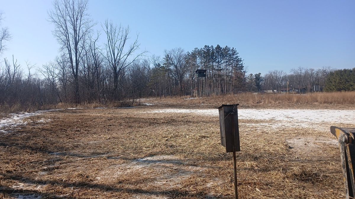 Land Clearing for Willing Trucking & Excavating in Evansville, WI