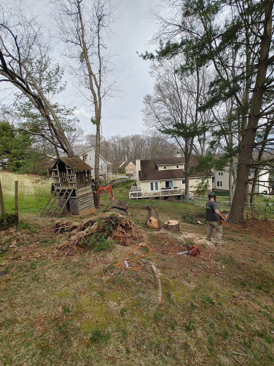 Tree Removal for M&L Lumber and Excavating in Jonesborough, TN