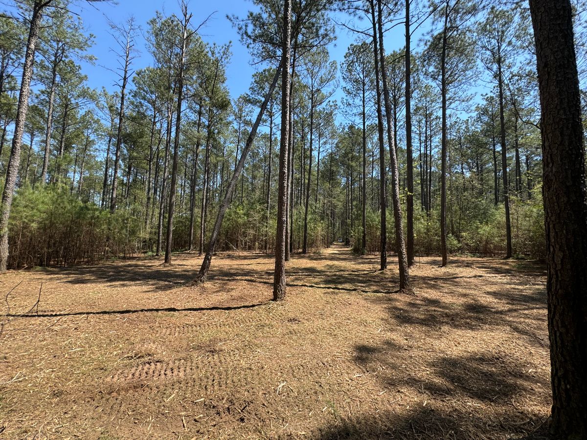 Land Clearing for Bryant's Land Services in Forsyth, GA