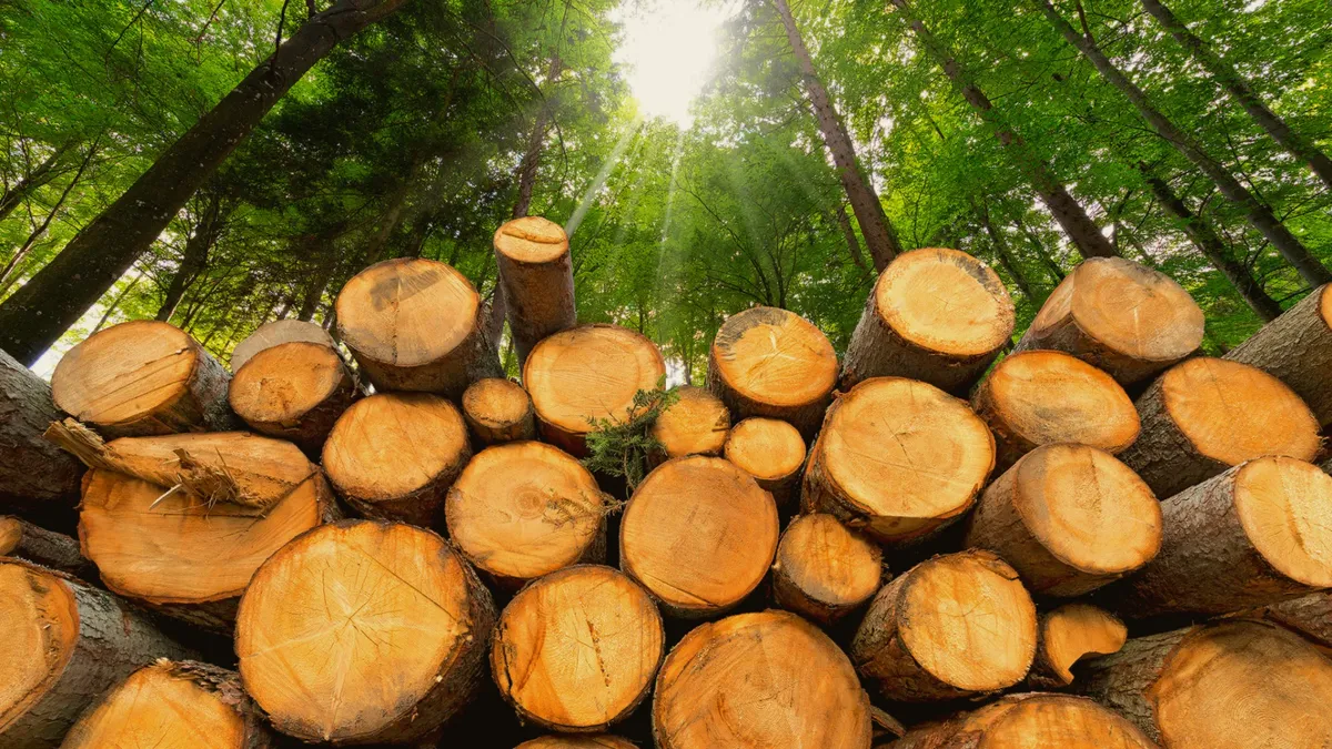 Tree Removal for Fairbairn Tree trimming in Willmar, MN