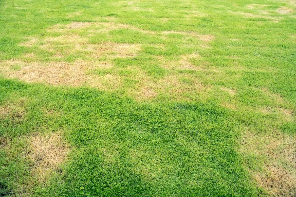 Mowing for G&M Property Service in Attleboro, MA