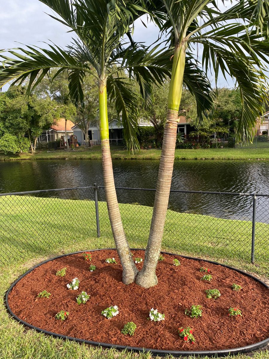 Landscape Services for A.C.'s Landscape and Lawn Maintenance in   Coral Springs, FL