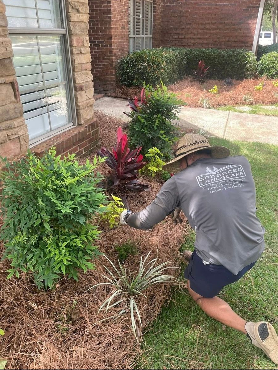 Shrub Care, Property Cleanup for Enhanced Landscape in Daphne, AL