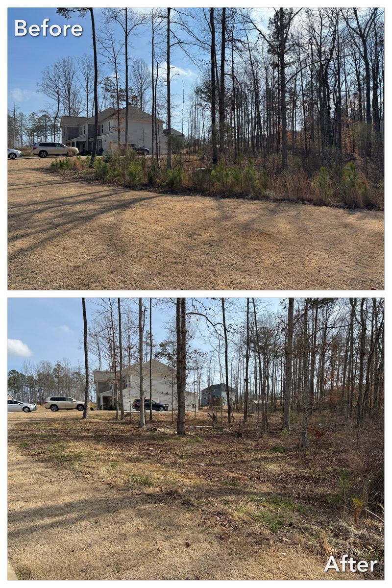 Brush Cutting and Removal for Fayette Property Solutions in Fayetteville, GA