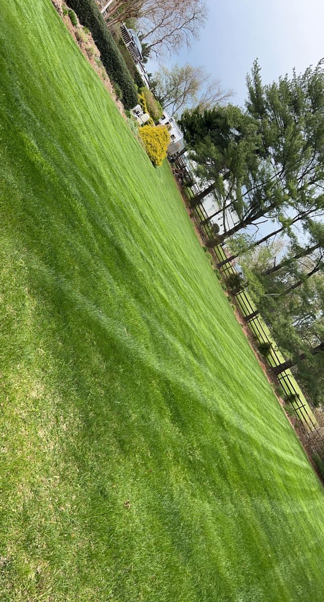 Spring / Fall Clean Up for Ridgewood Lawn Care LLC in Fredericksburg, VA