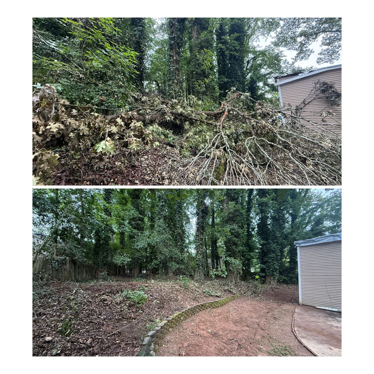 Forestry Mulching and Land Clearing for Dirt Pro Land Solutions in Fayetteville, GA