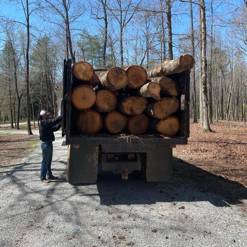 Tree Removal for Clear Tree Land Solutions in Dawson County, GA
