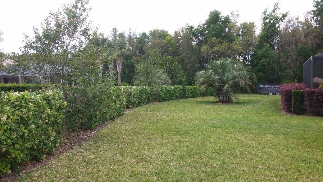 Shrub Trimming for Top Gun Lawn Care in Citrus, FL