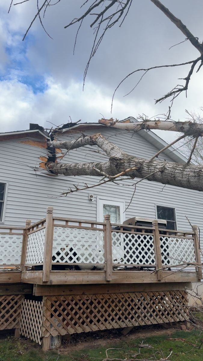 Tree Removal for Fransen's Tree Service  in Freeport, IL
