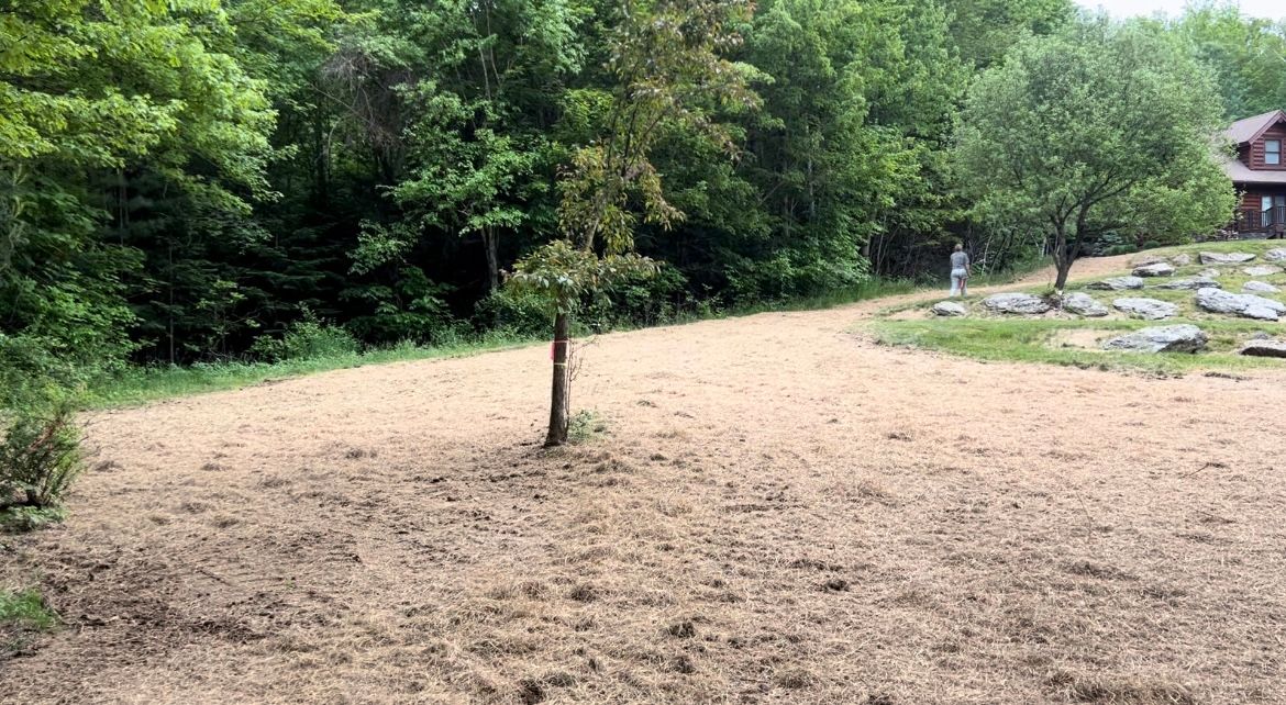 Land Clearing & Demolition for Andy Naylor Excavation in Johnson, VT