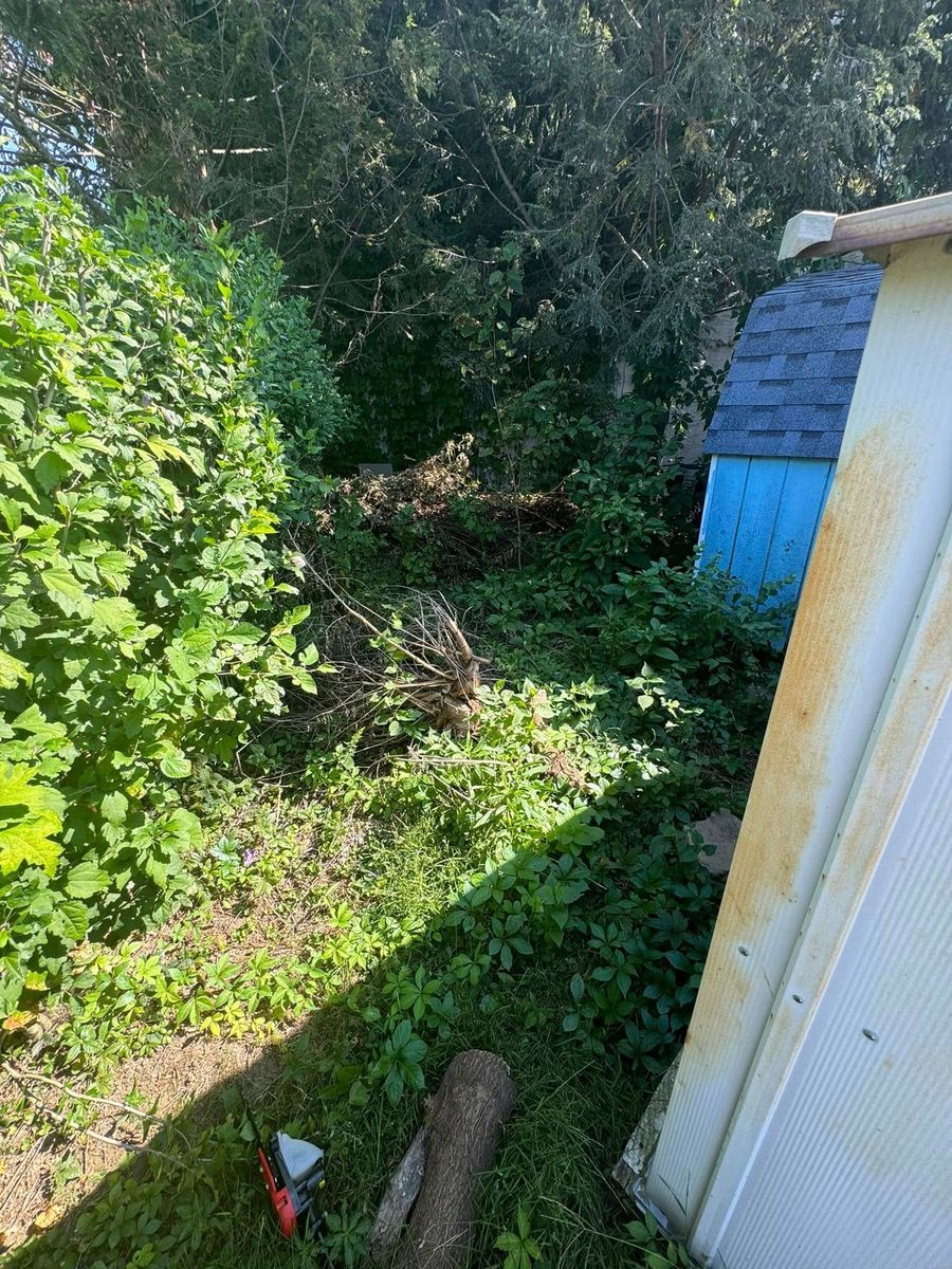 Spring Clean Ups for Landscape & Lawn Care Pros in Temple, PA