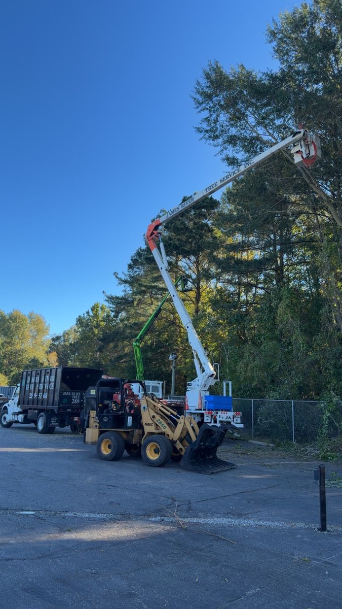 Tree Trimming for James River Tree Service in Suffolk, VA