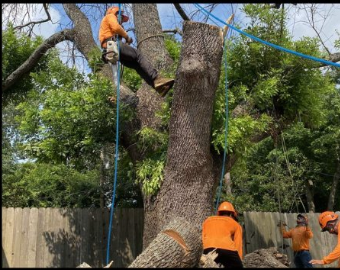 Hardscaping for The Outdoor Buddies in Houston, TX