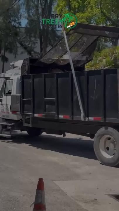 Debris for Nurry Tree Services in Miami, FL