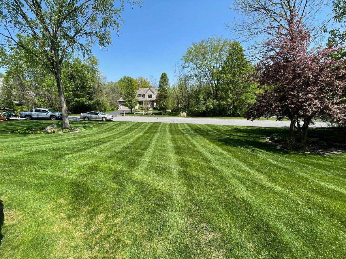 Mowing for Bumblebee Lawn Care LLC in Albany, New York