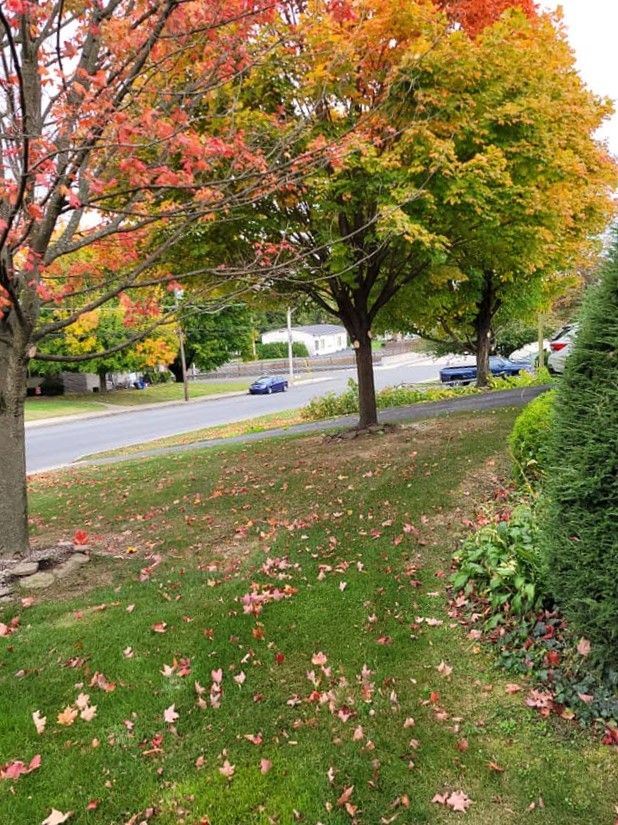 Fall Clean Up for Jonathan A. Henne Property Services. in Hamburg, PA