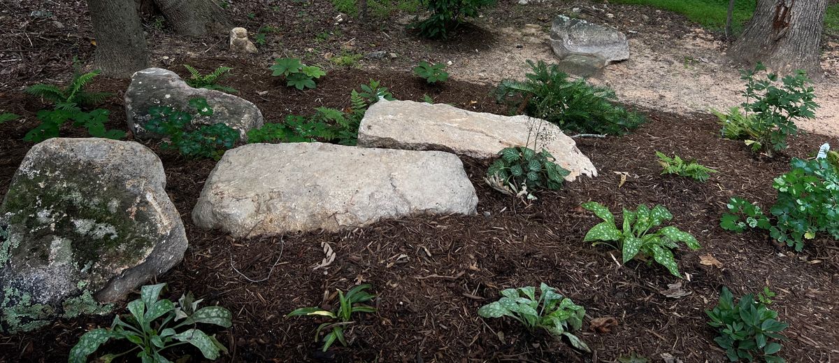 Habitat Restoration / Native Planting for Christina King Landscape Design in Raleigh, NC