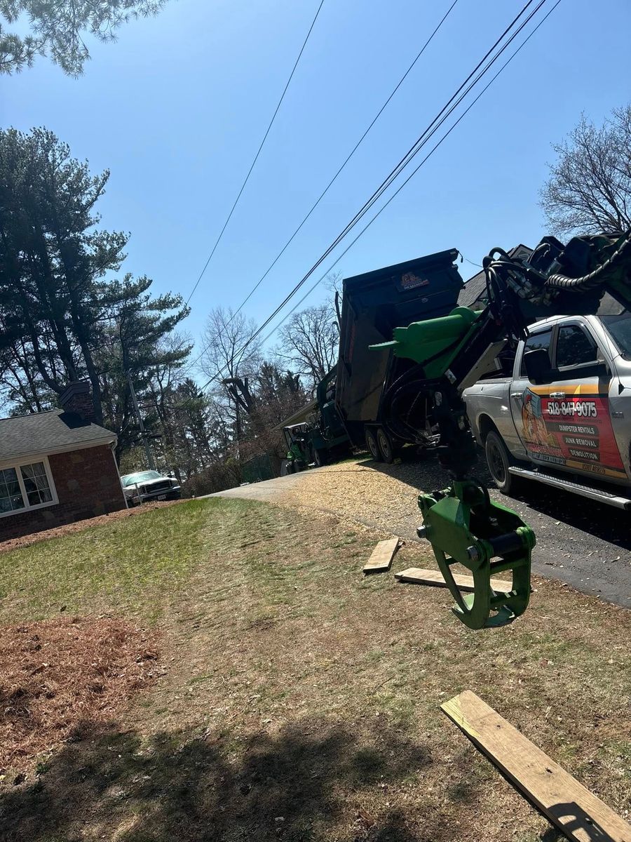 Tree Removal for T's Trees in Albany, NY