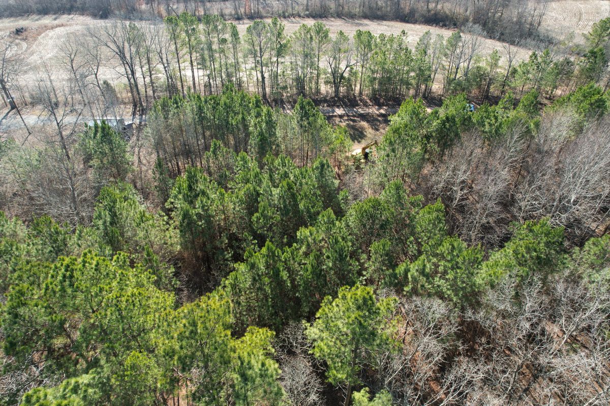 Forestry Mulching for West TN Dirt Works in Lexington, TN