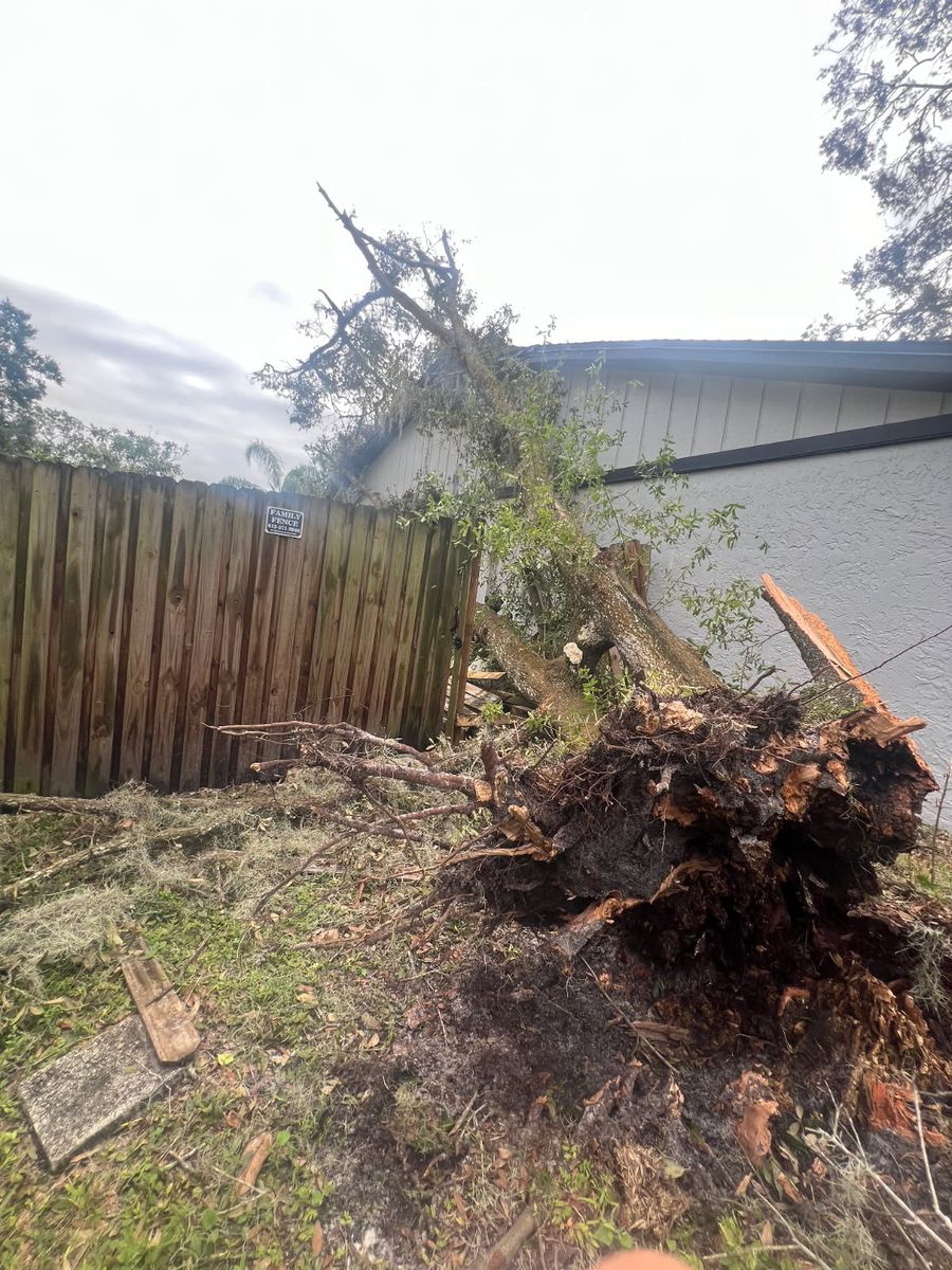 Immediate Response Tree work for storm damage for TREE BOYS in Ruskin, FL