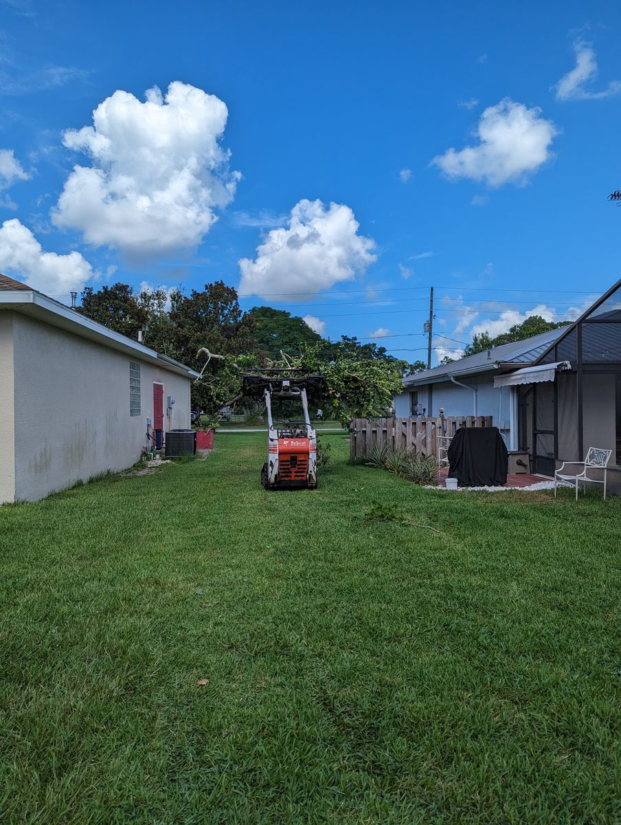 Skid Steer Work for Regal Tree Service and Stump Grinding in Wauchula, FL