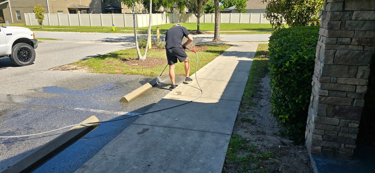 Driveway and Sidewalk Pressure Washing for Blue Stream Roof Cleaning & Pressure Washing in Tampa, FL