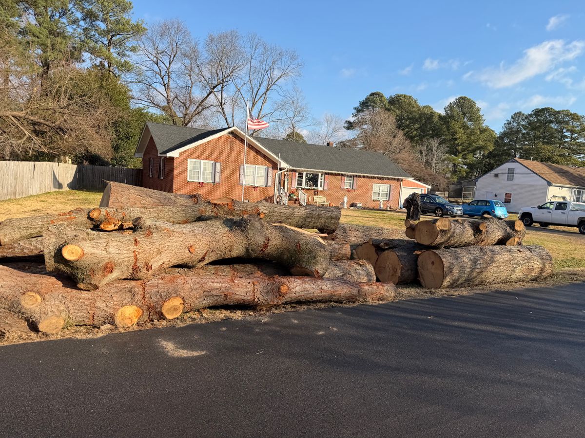 Tree Removal for Tidewater Tree Service in Chesapeake, VA