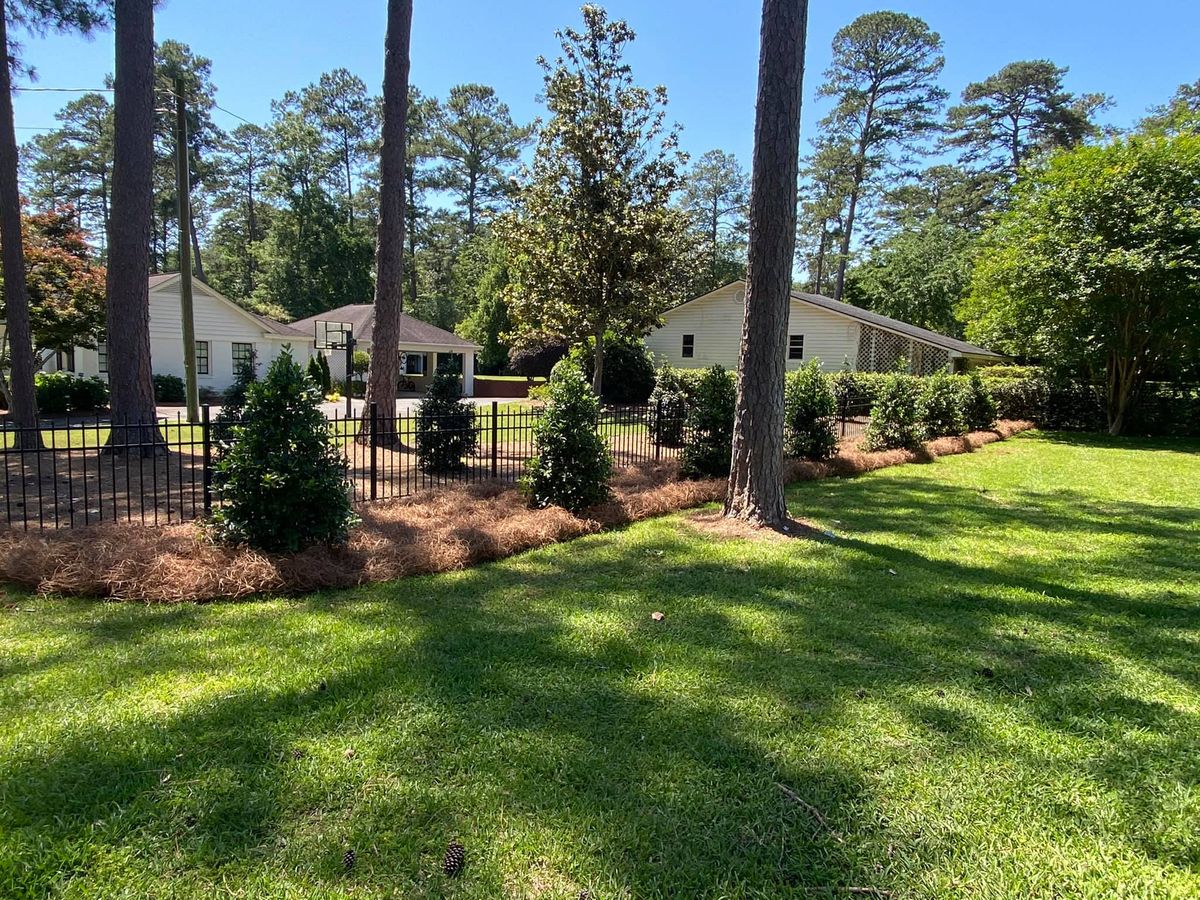 Tree & Shrub Care for Thomasville Lawn Care in Thomasville, GA