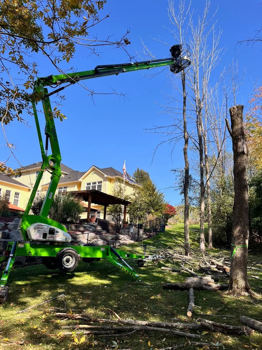 Stump Grinding for TH Property Service, LLC in Manlius, NY