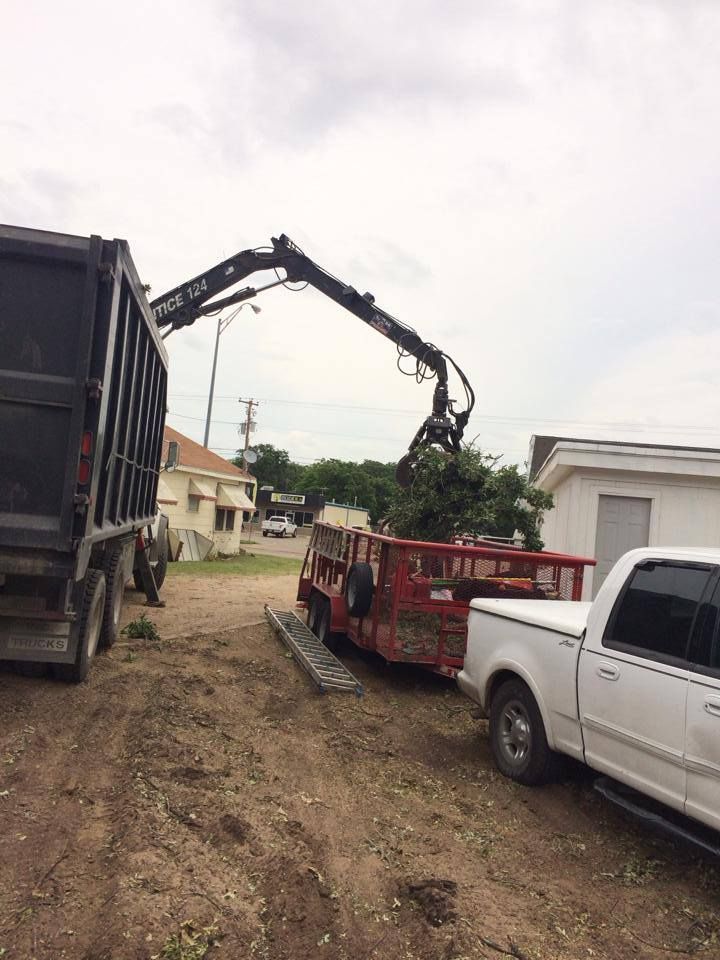 Tree Removal for Classic cut tree trimming and removal in Arlington, TX