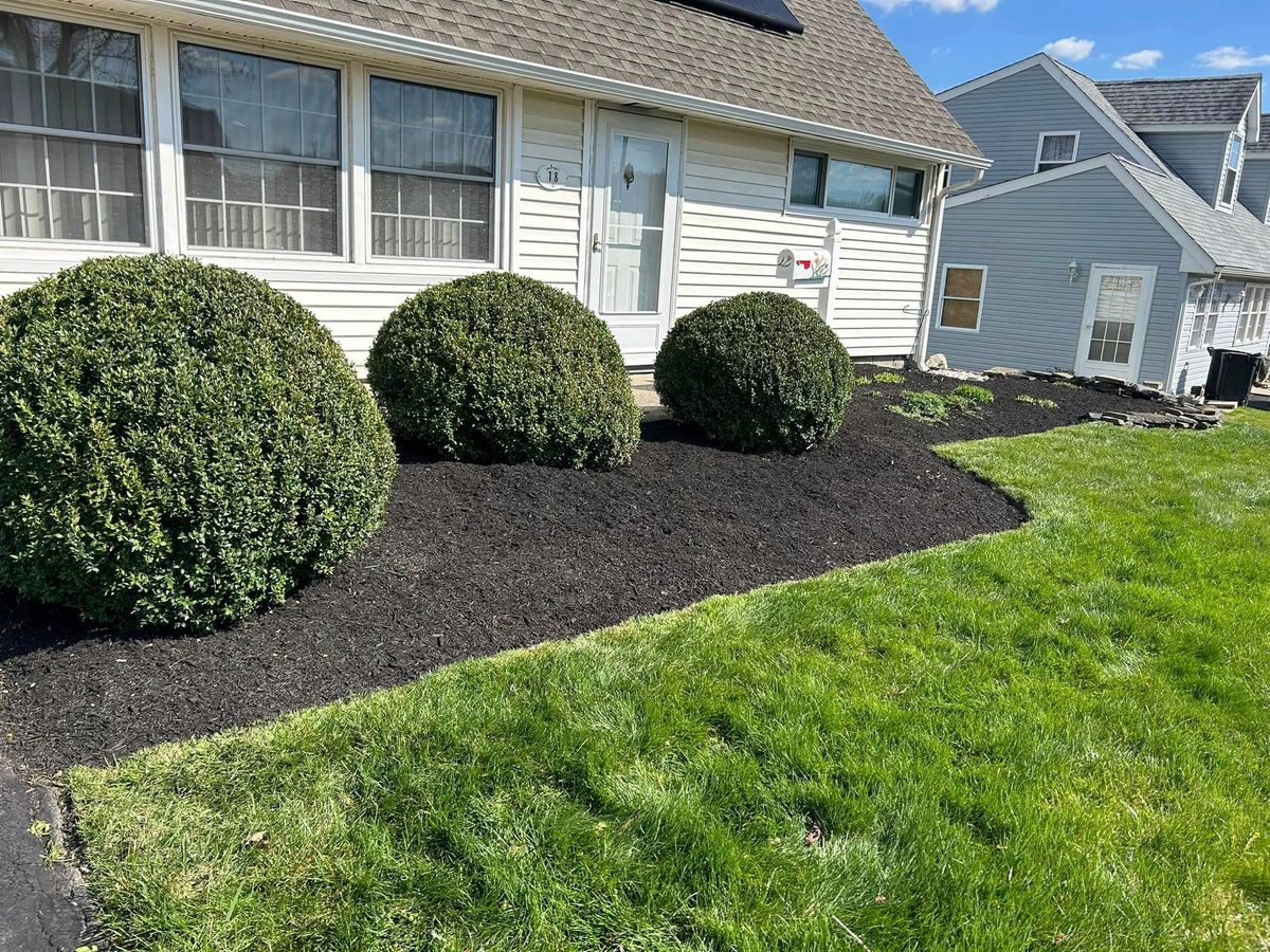 Shrub Trimming for Russo’s Landscaping & Tree Removal in Levittown, PA