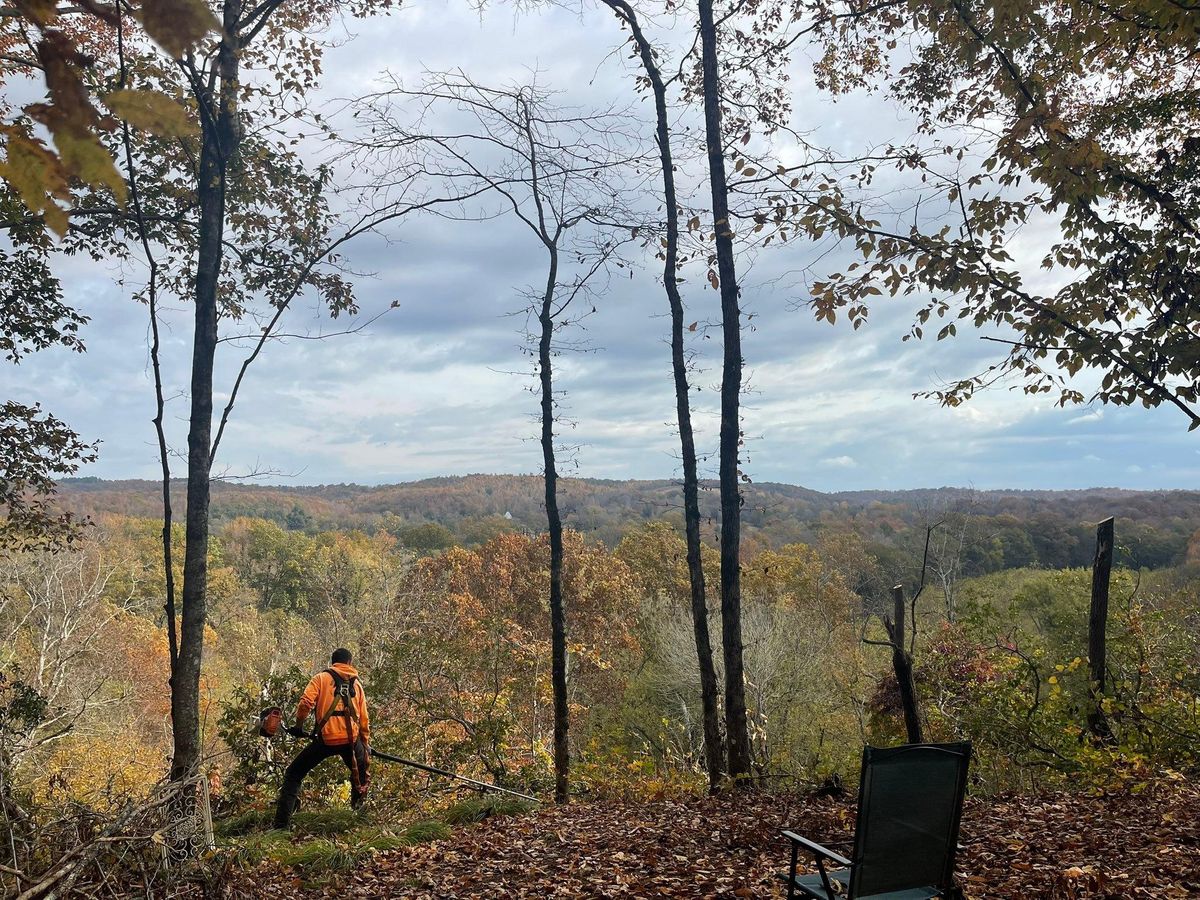 Tree Trimming for Ross Family Tree Service LLC  in Hohenwald, TN