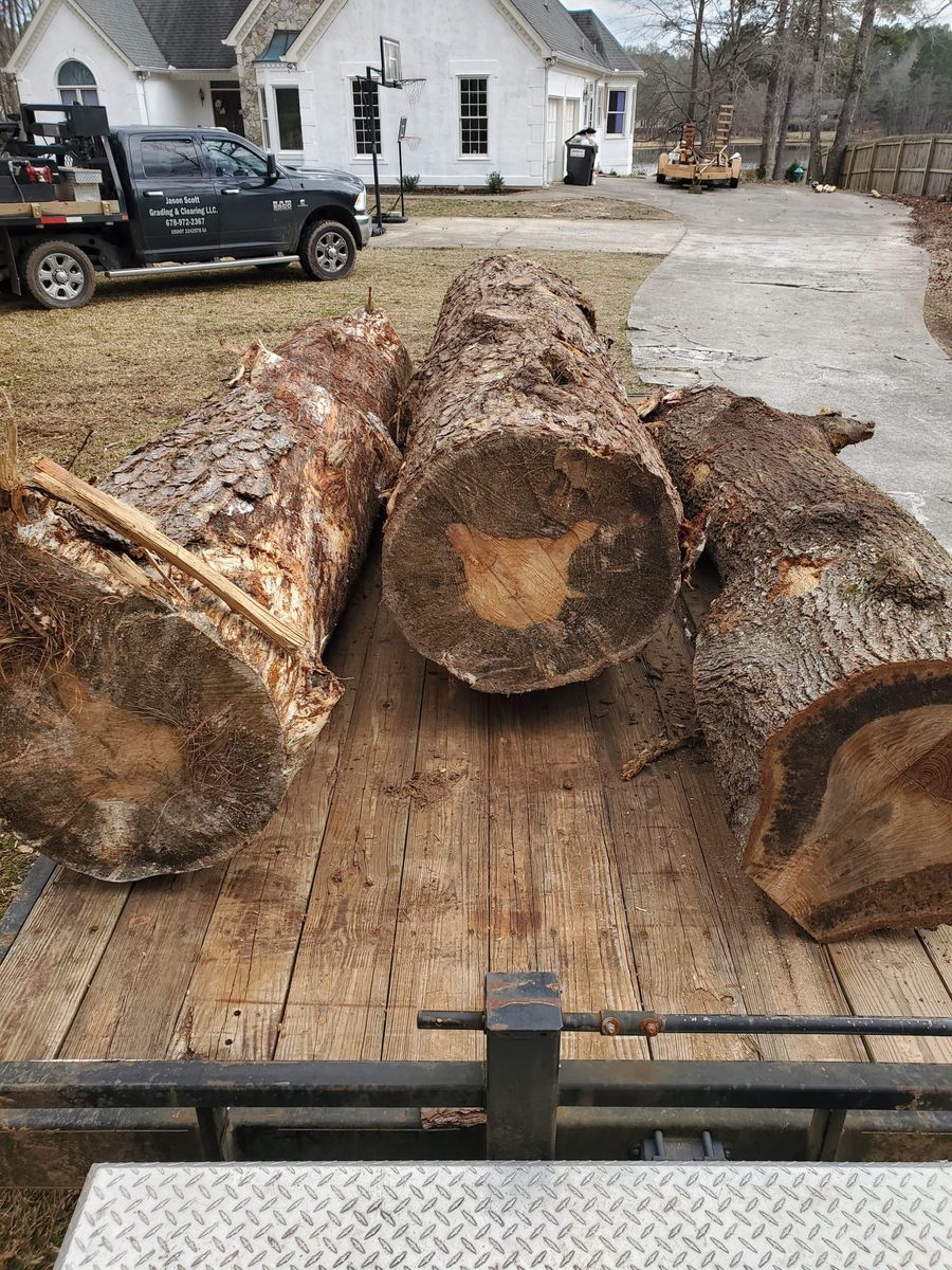 Tree & Debris Removal for Jason Scott Grading & Clearing in Williamson, GA