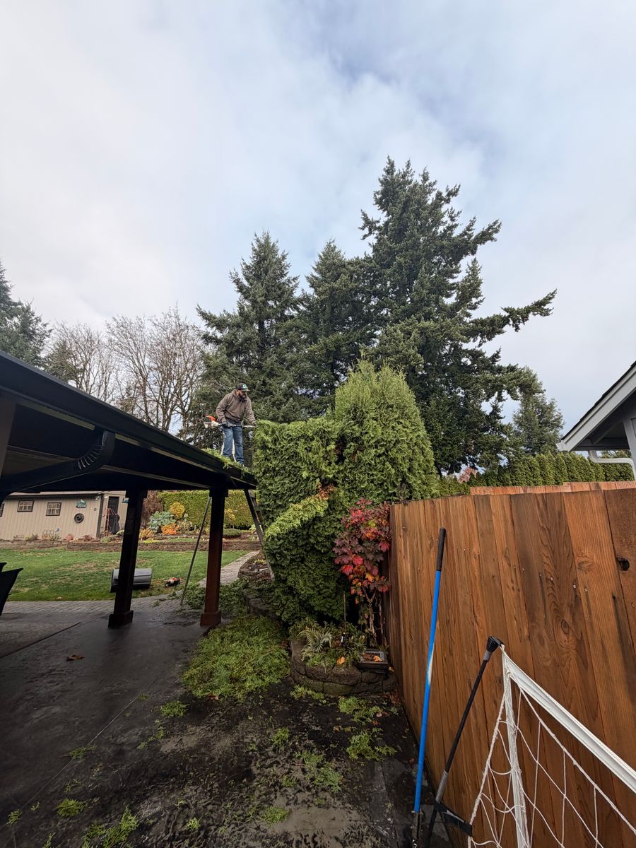 Winter and Fall Clean Up for Churape And Son's Landscaping in Vancouver, WA