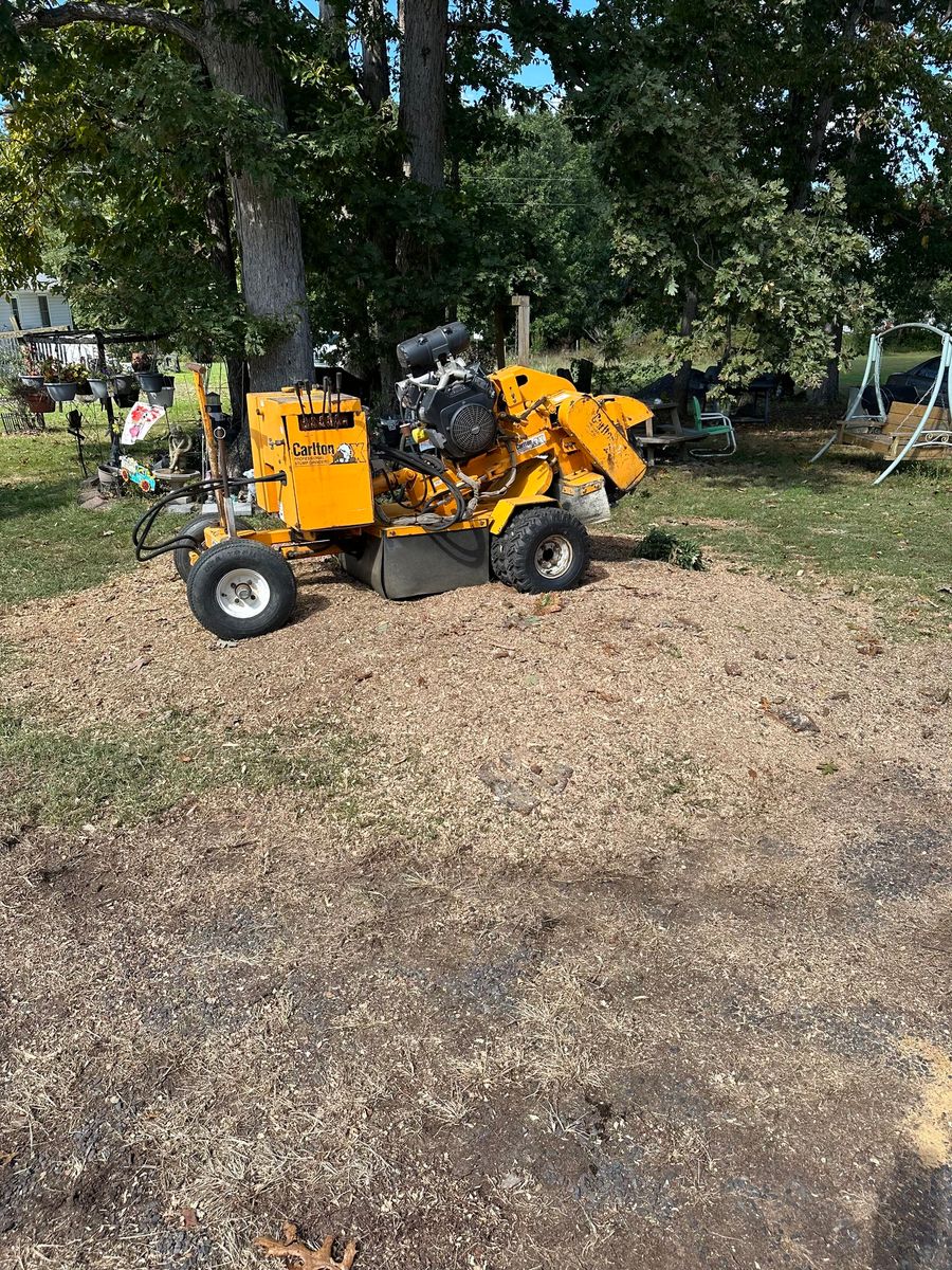Stump Removal for G. White Construction, LLC in Orange, VA