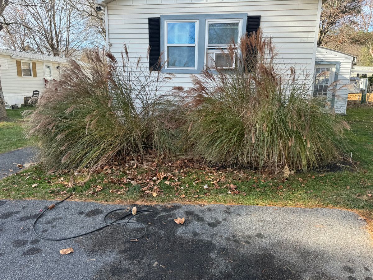 Shrub Trimming for Jacob’s Property Maintenance   in Dutchess County, NY