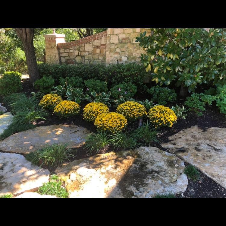 Seasonal Color for Danny's Custom Landscaping & Woodchuck Firewood in Garland, TX